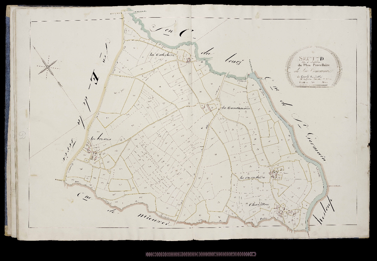 Section D