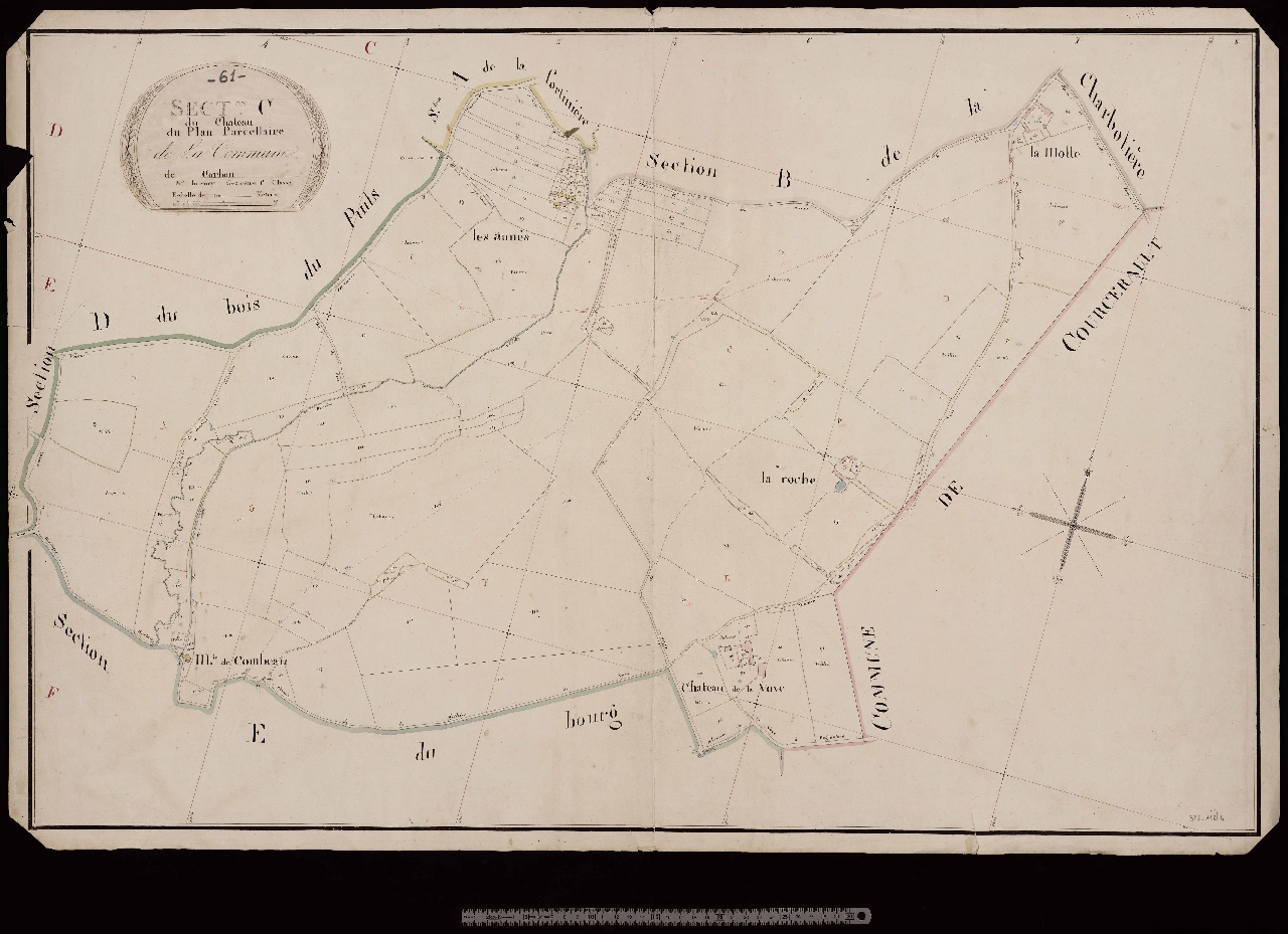 Section C