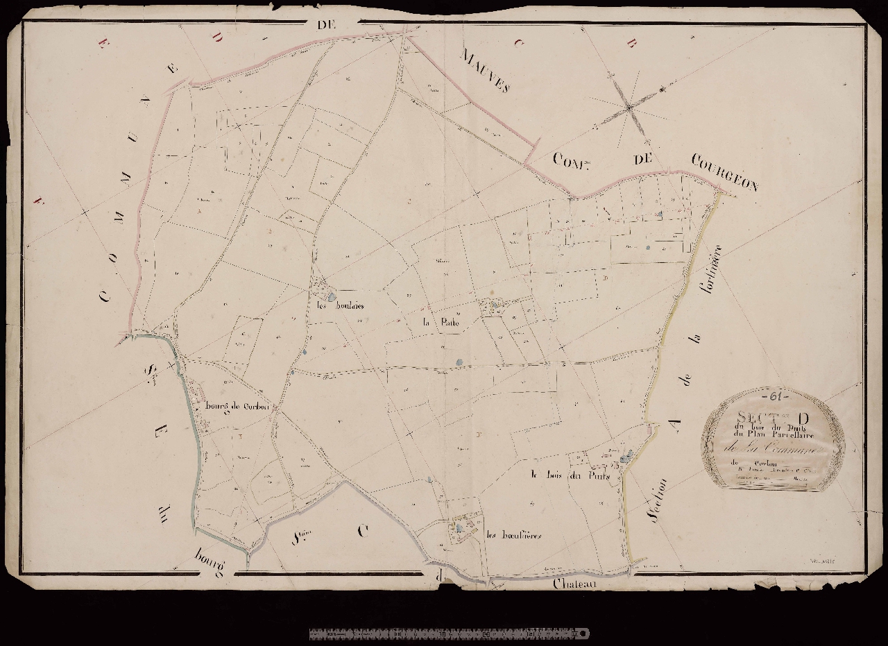 Section D