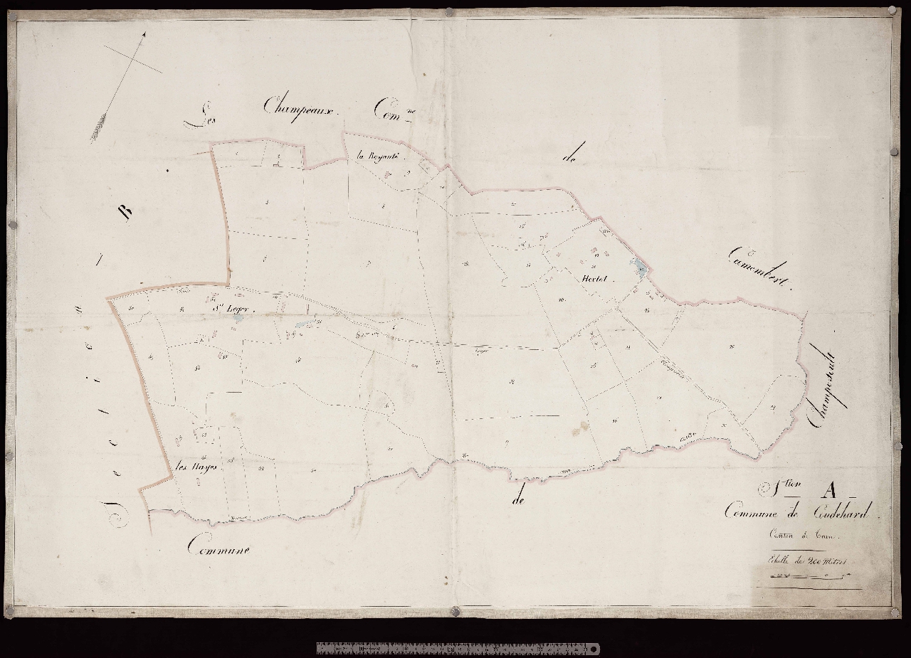 Section A