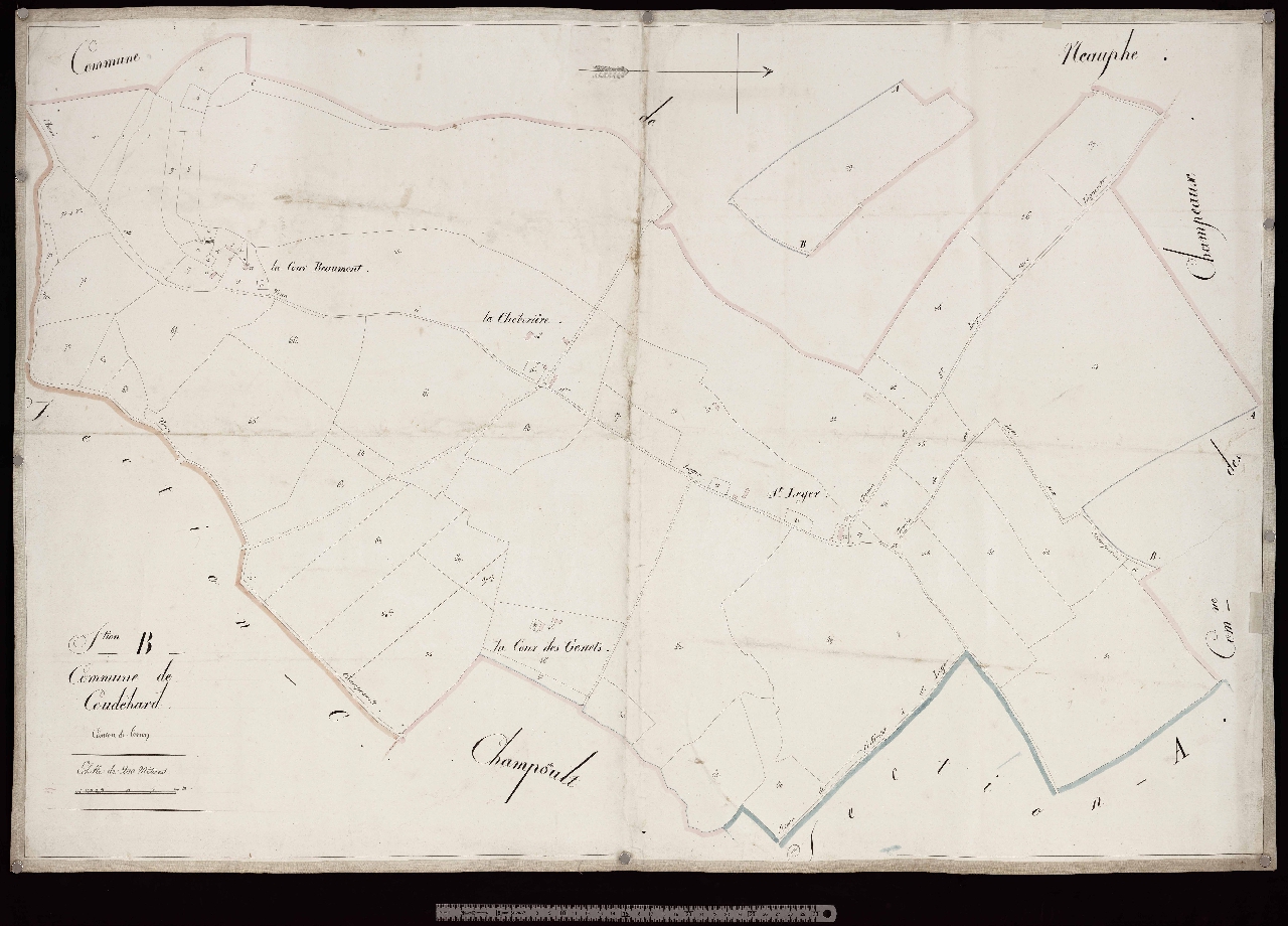 Section B