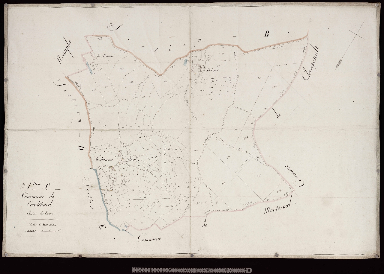 Section C