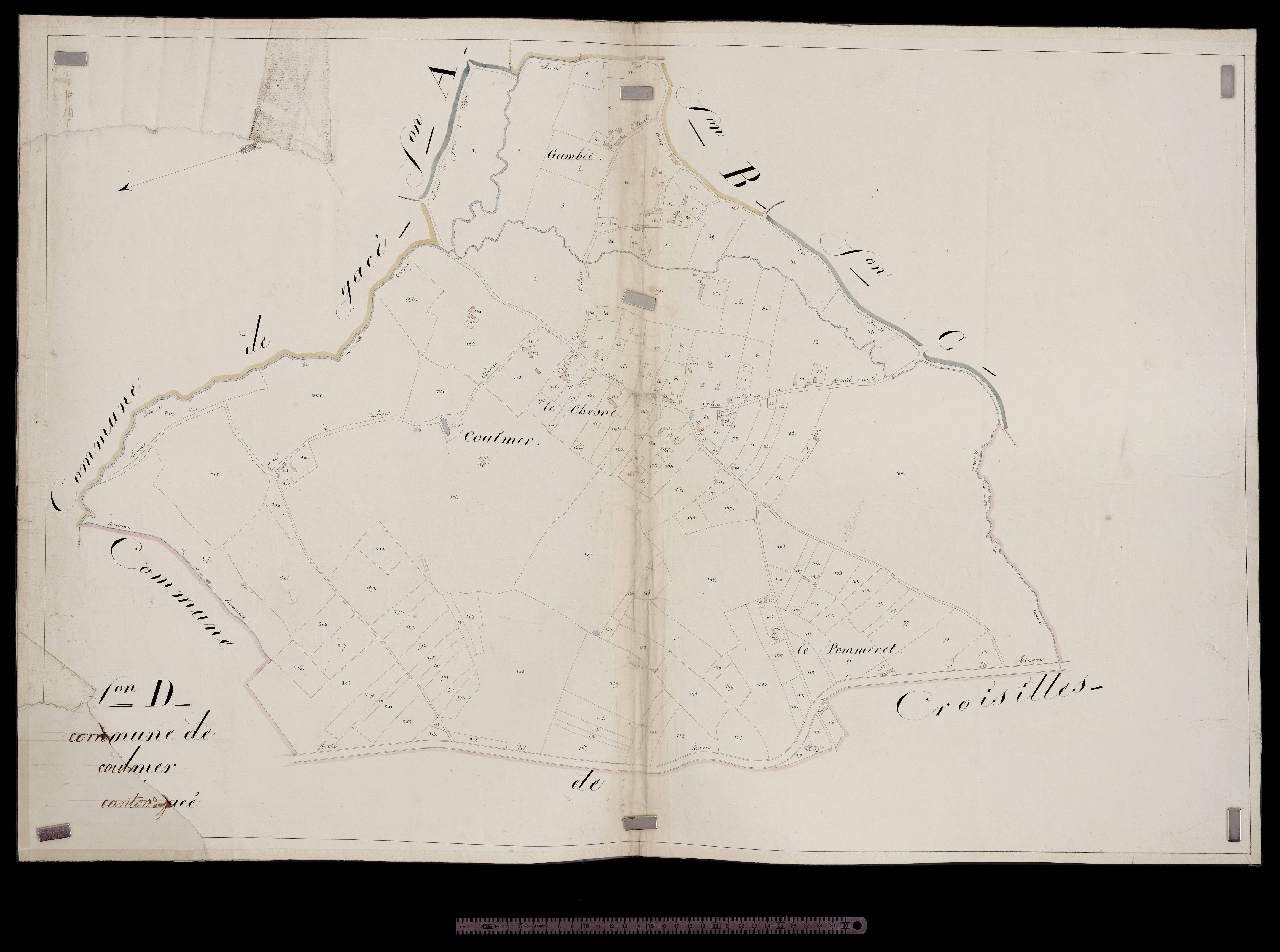 Section D