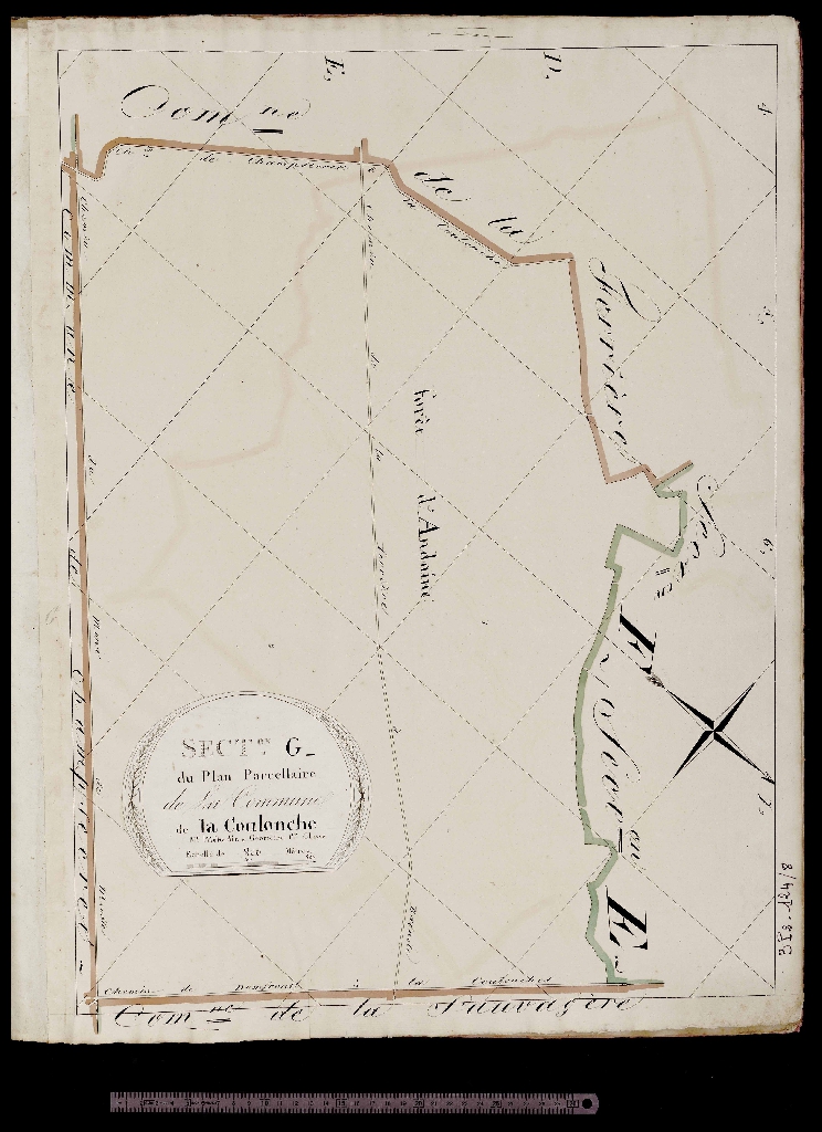 Section G