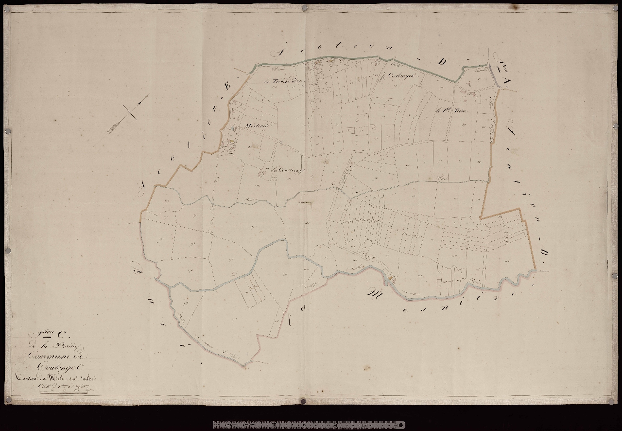 Section C