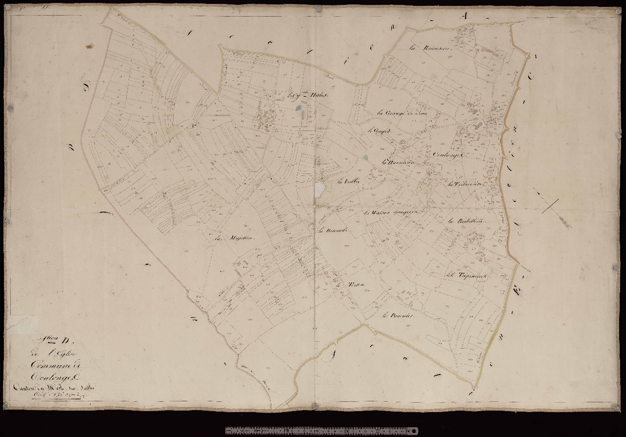 Section D