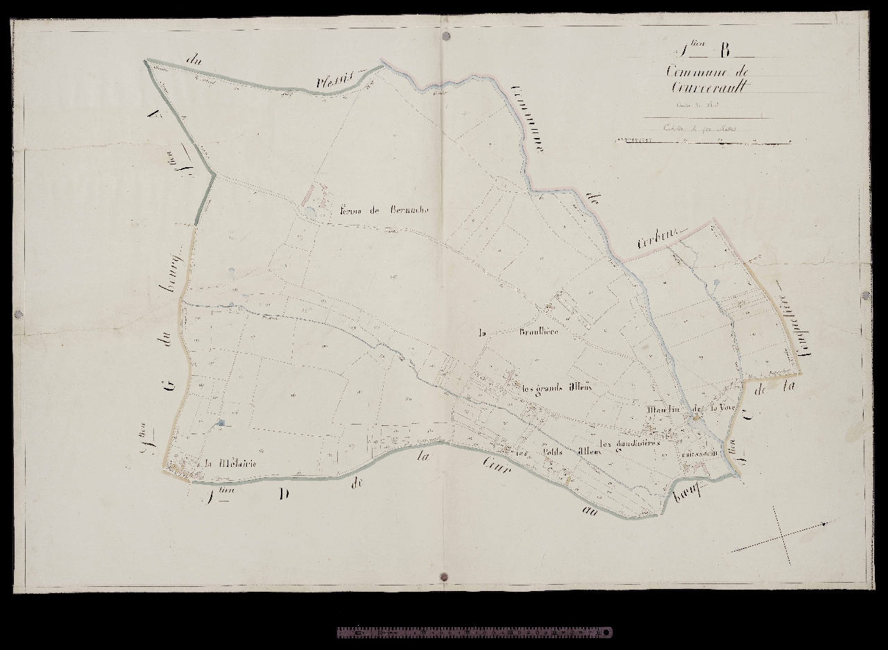 Section B