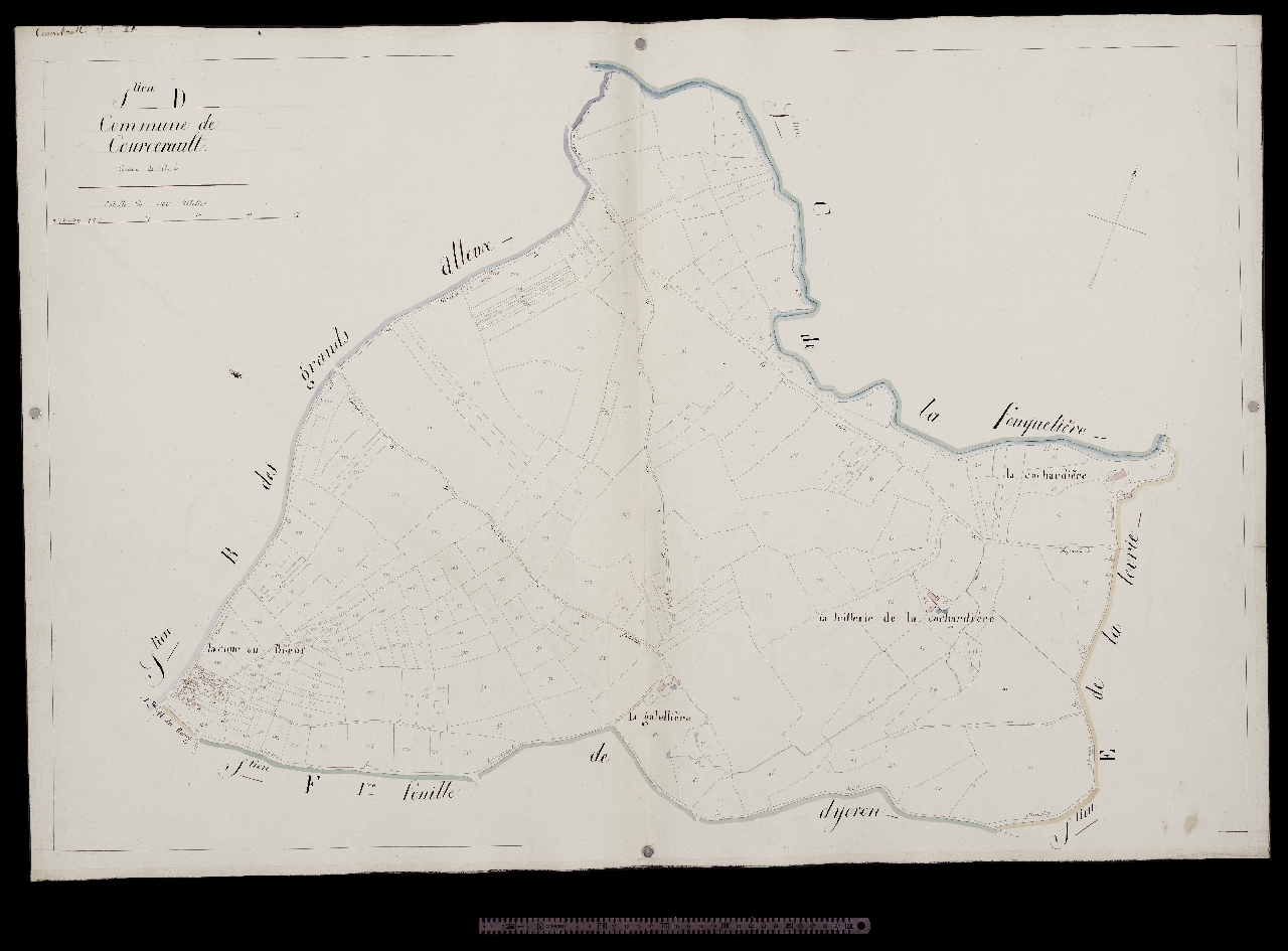 Section D