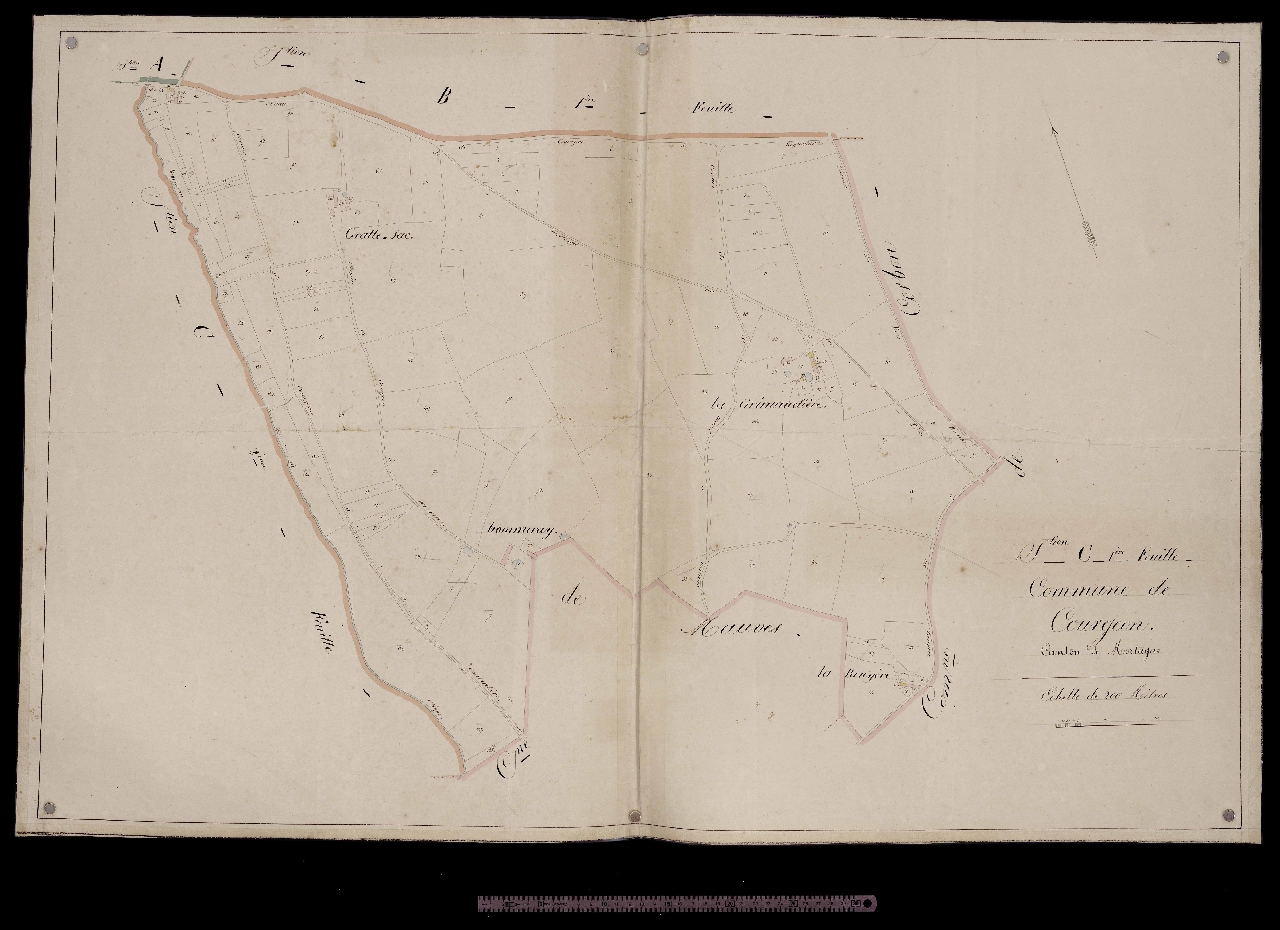Section C1