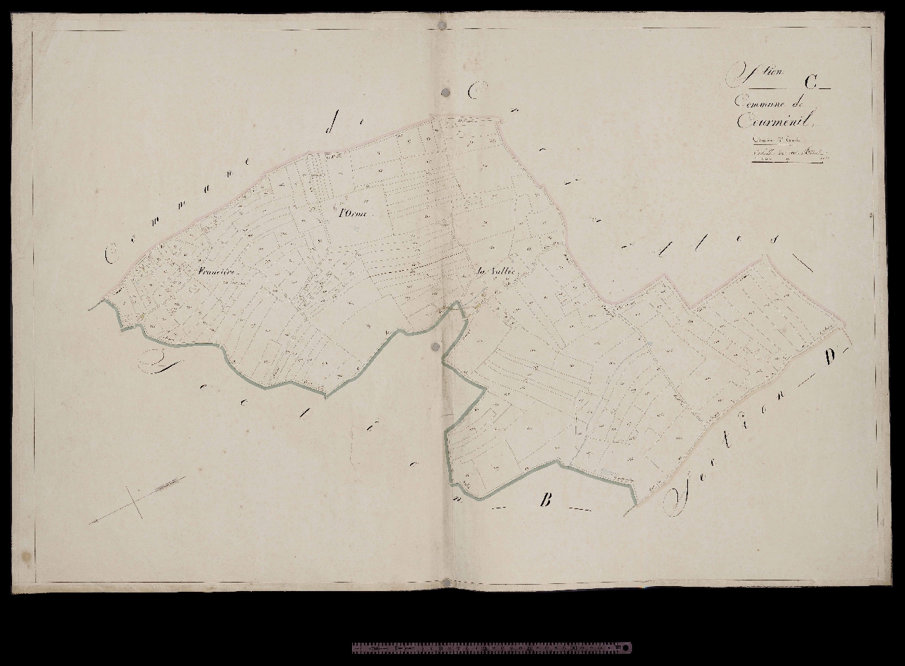 Section C