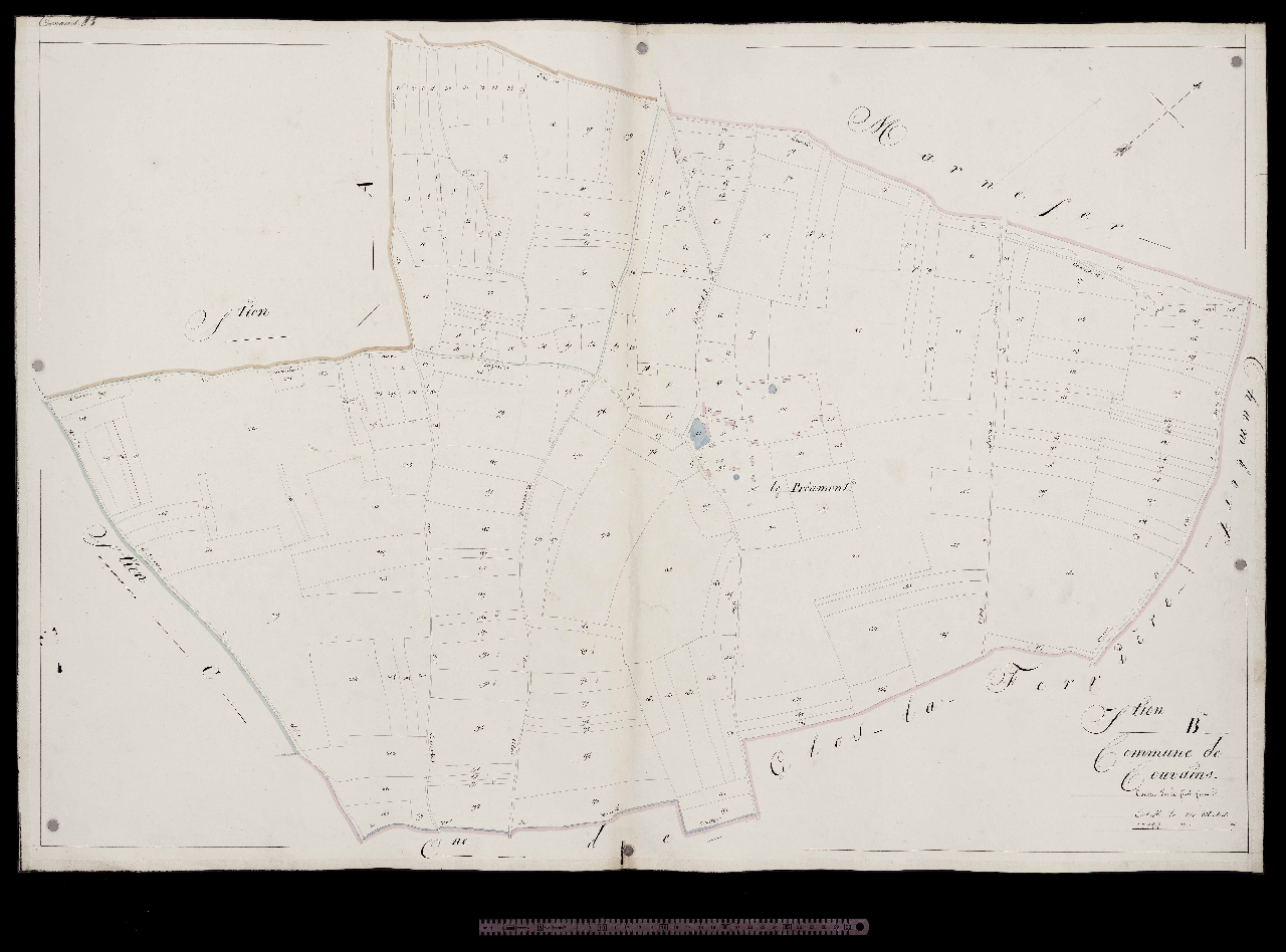 Section B