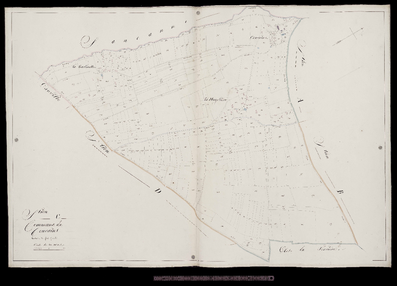 Section C