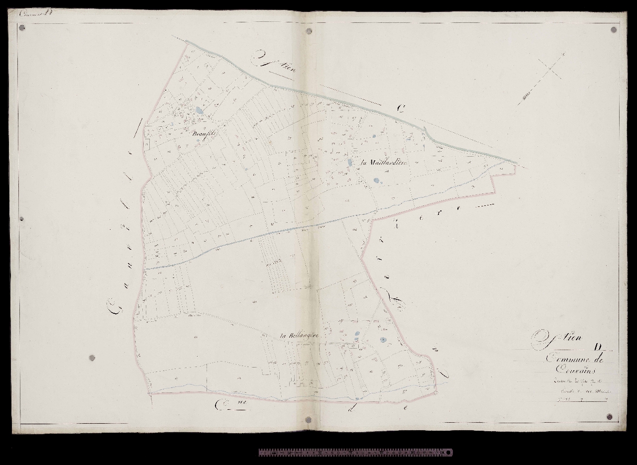 Section D