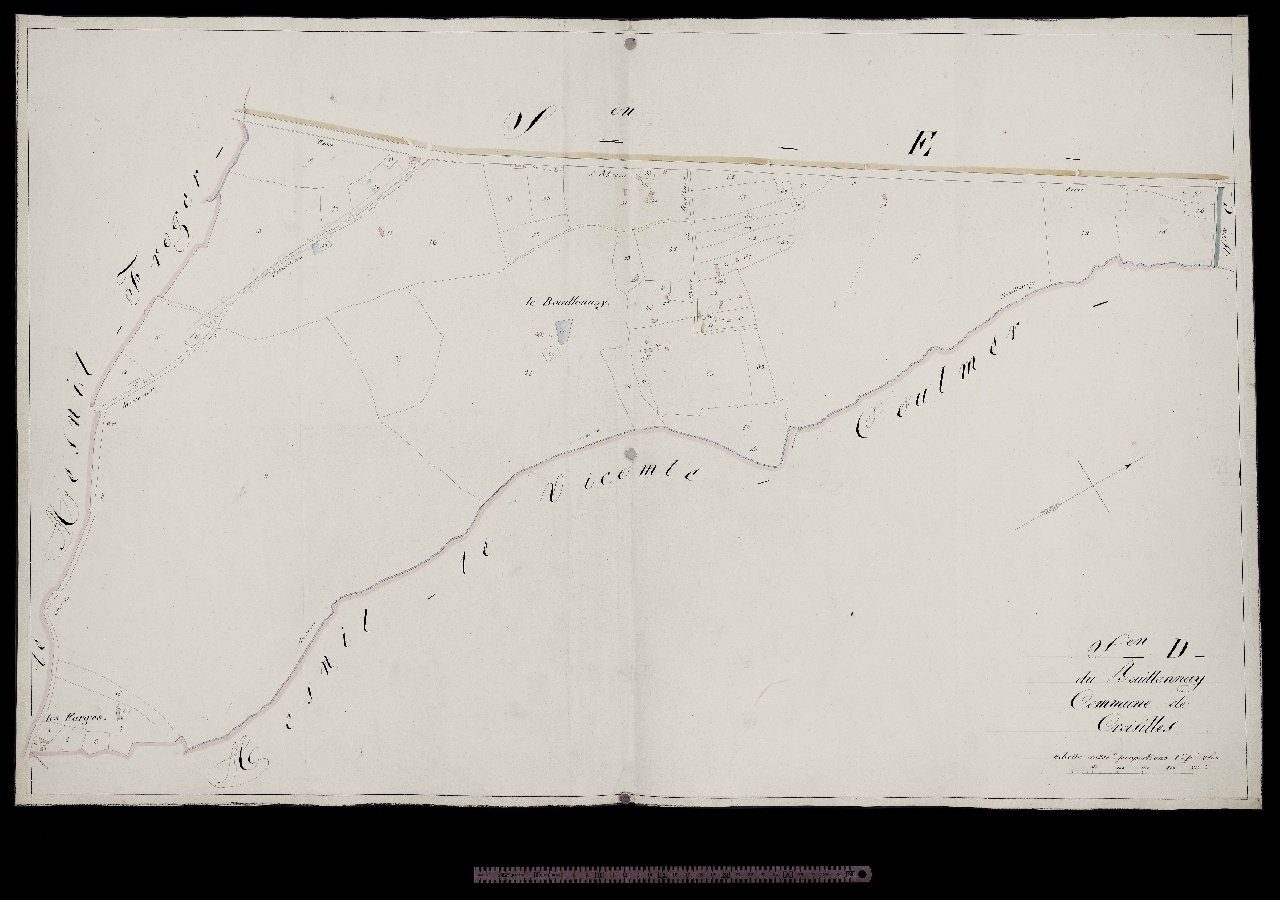 Section D