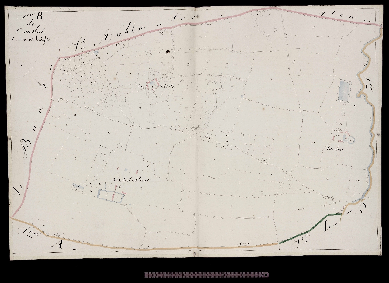 Section B