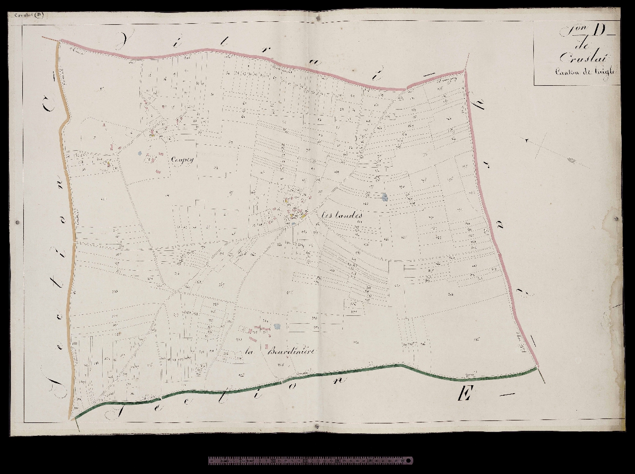 Section D