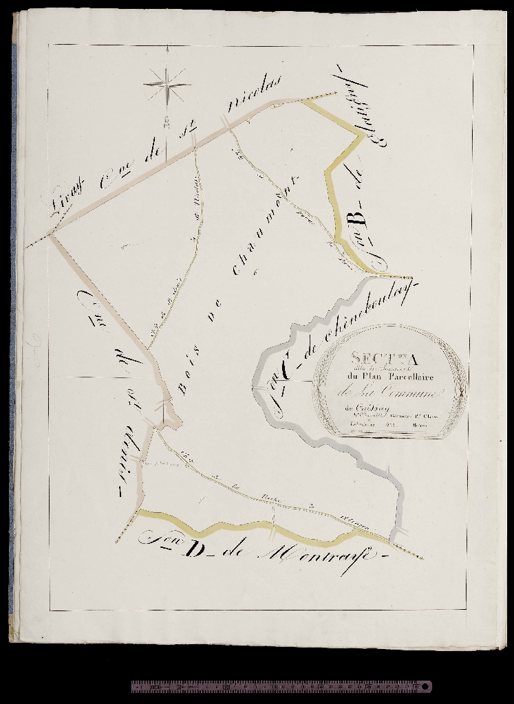Section A