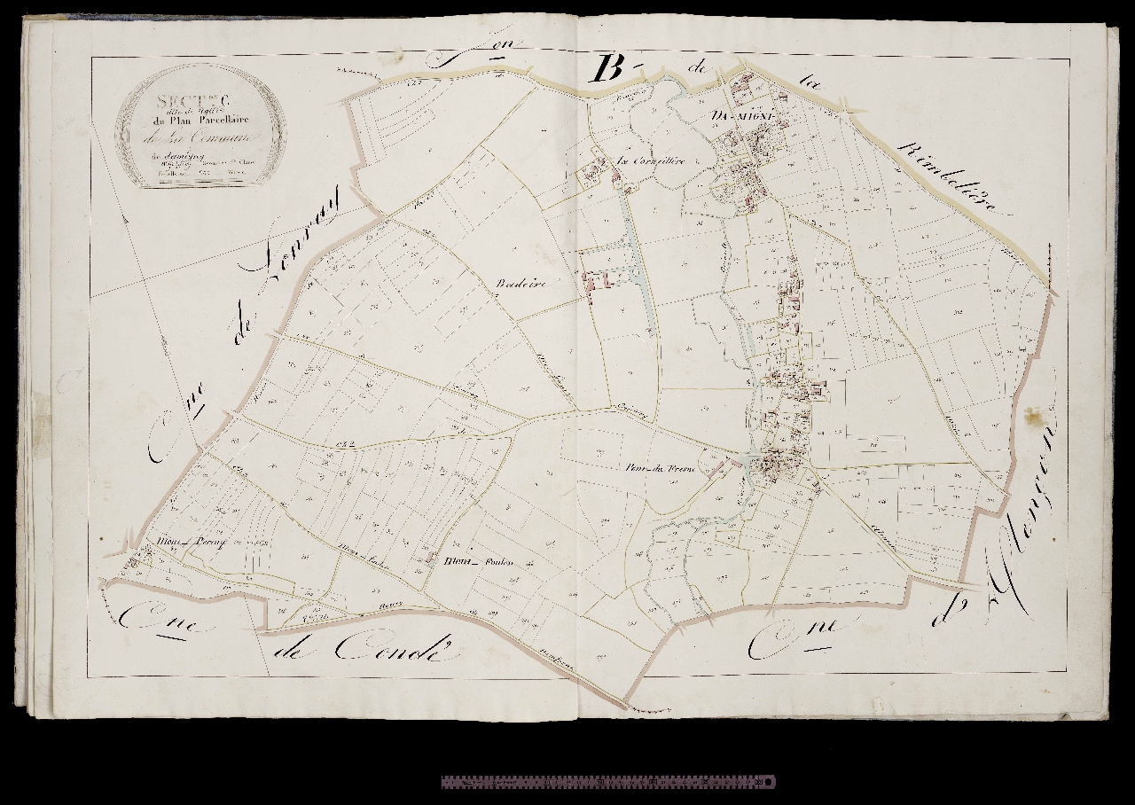 Section C