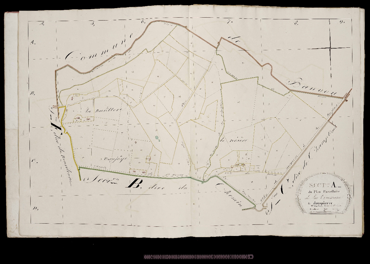 Section A