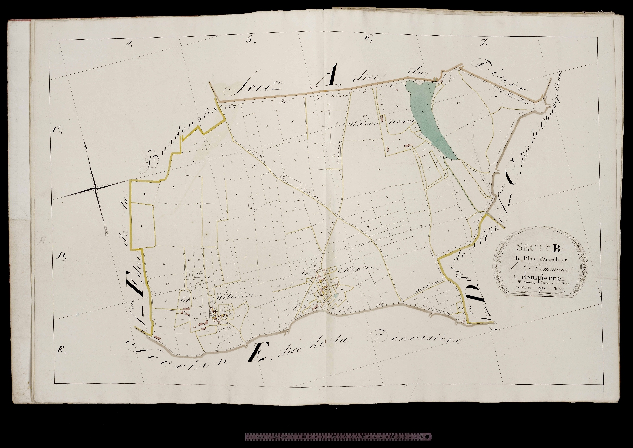 Section B