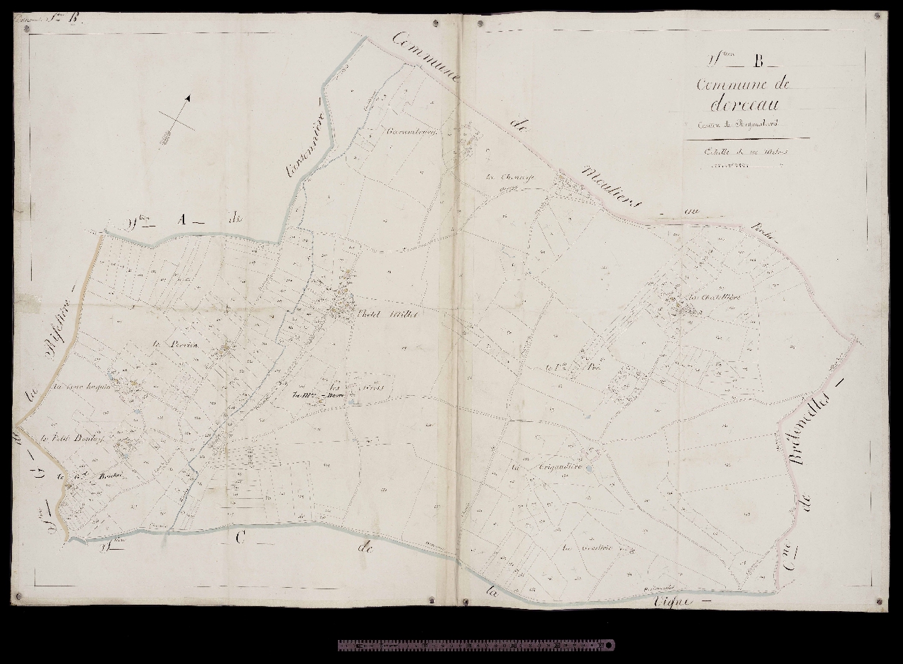 Section B