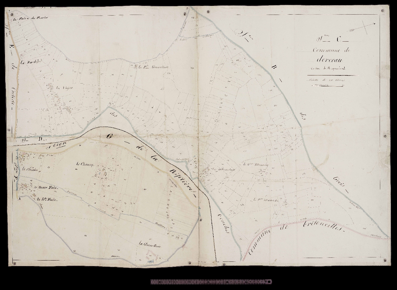 Section C
