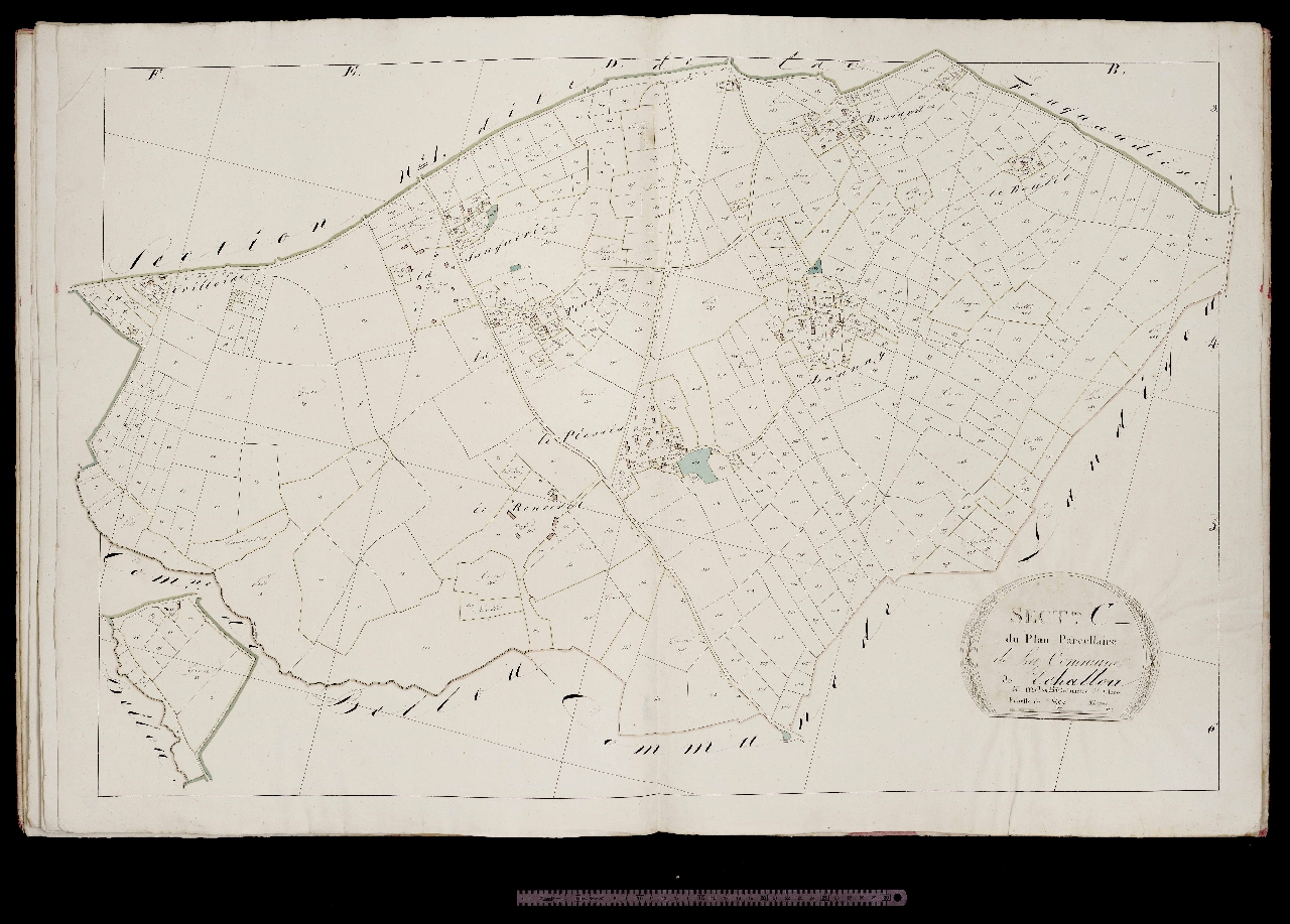 Section C