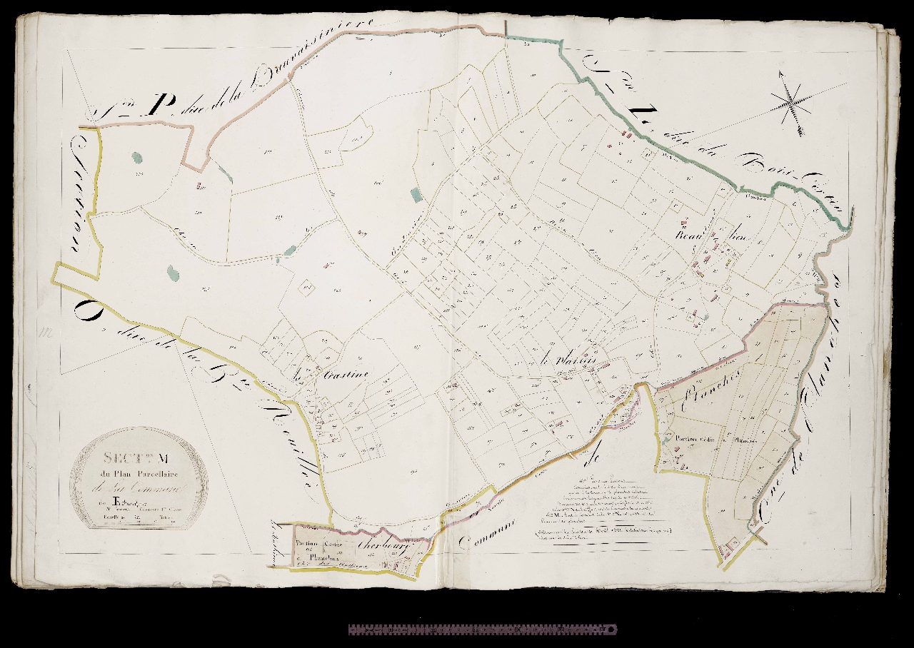 Section M
