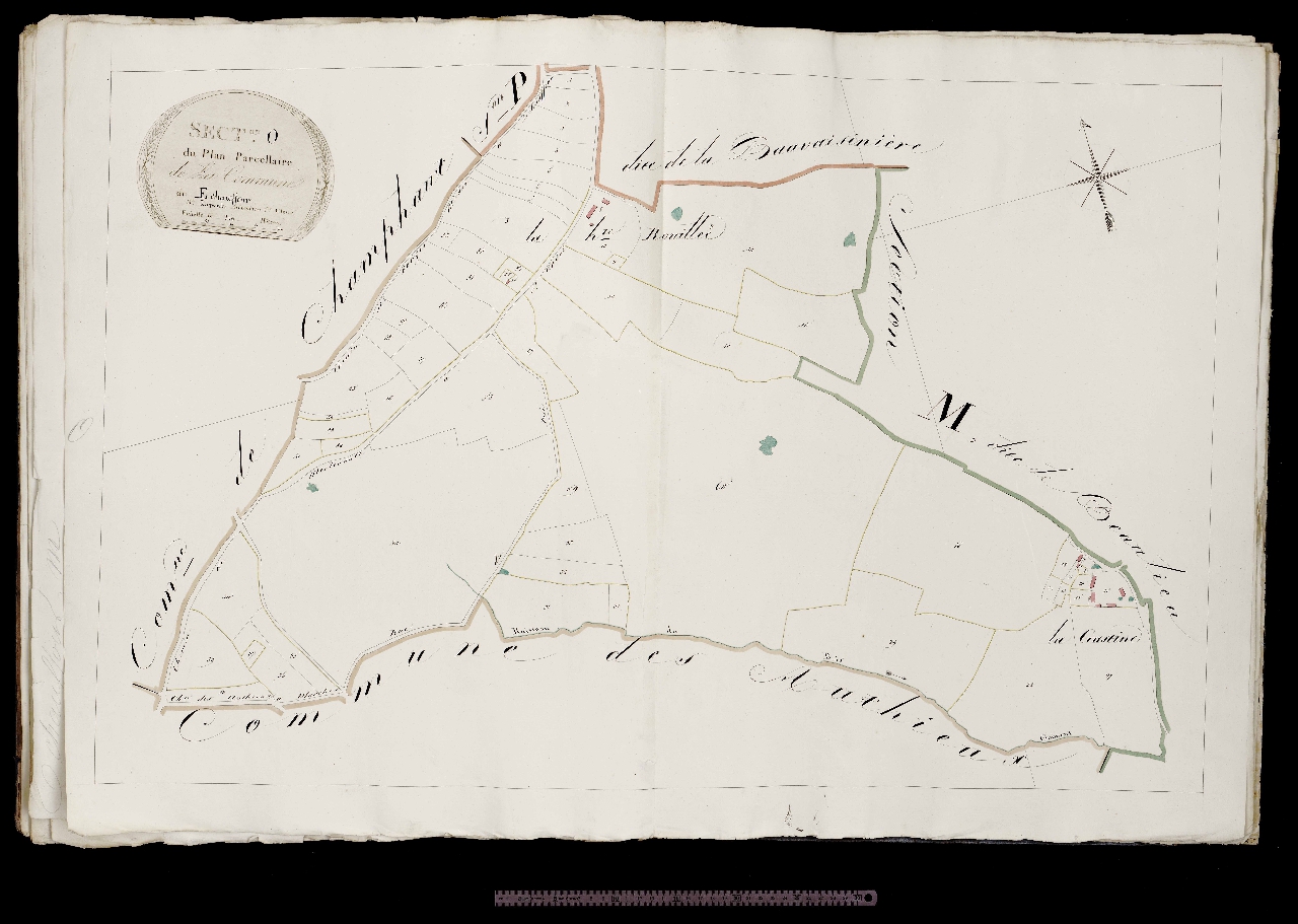 Section O