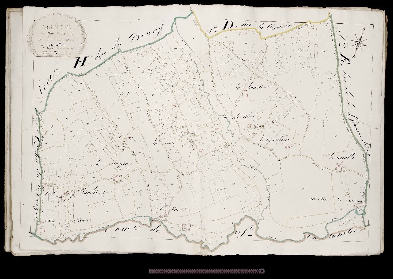 Section F