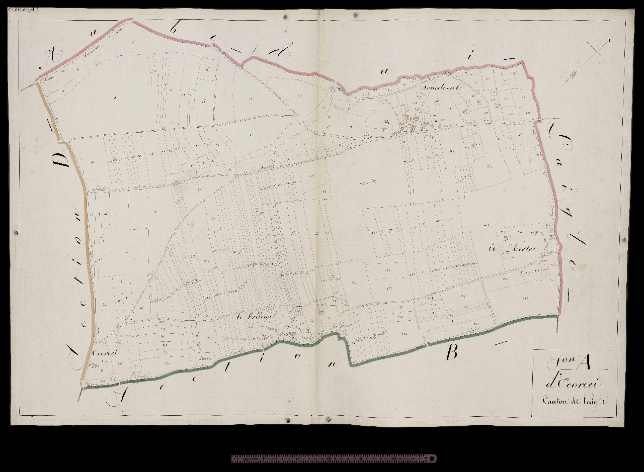 Section A