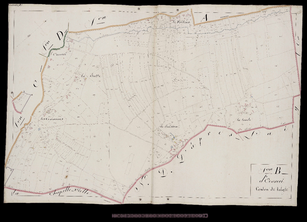 Section B
