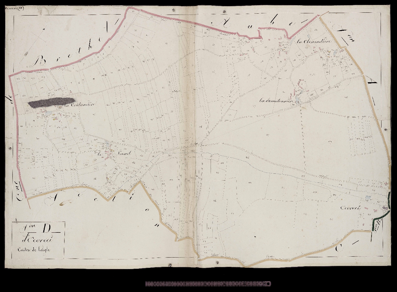 Section D