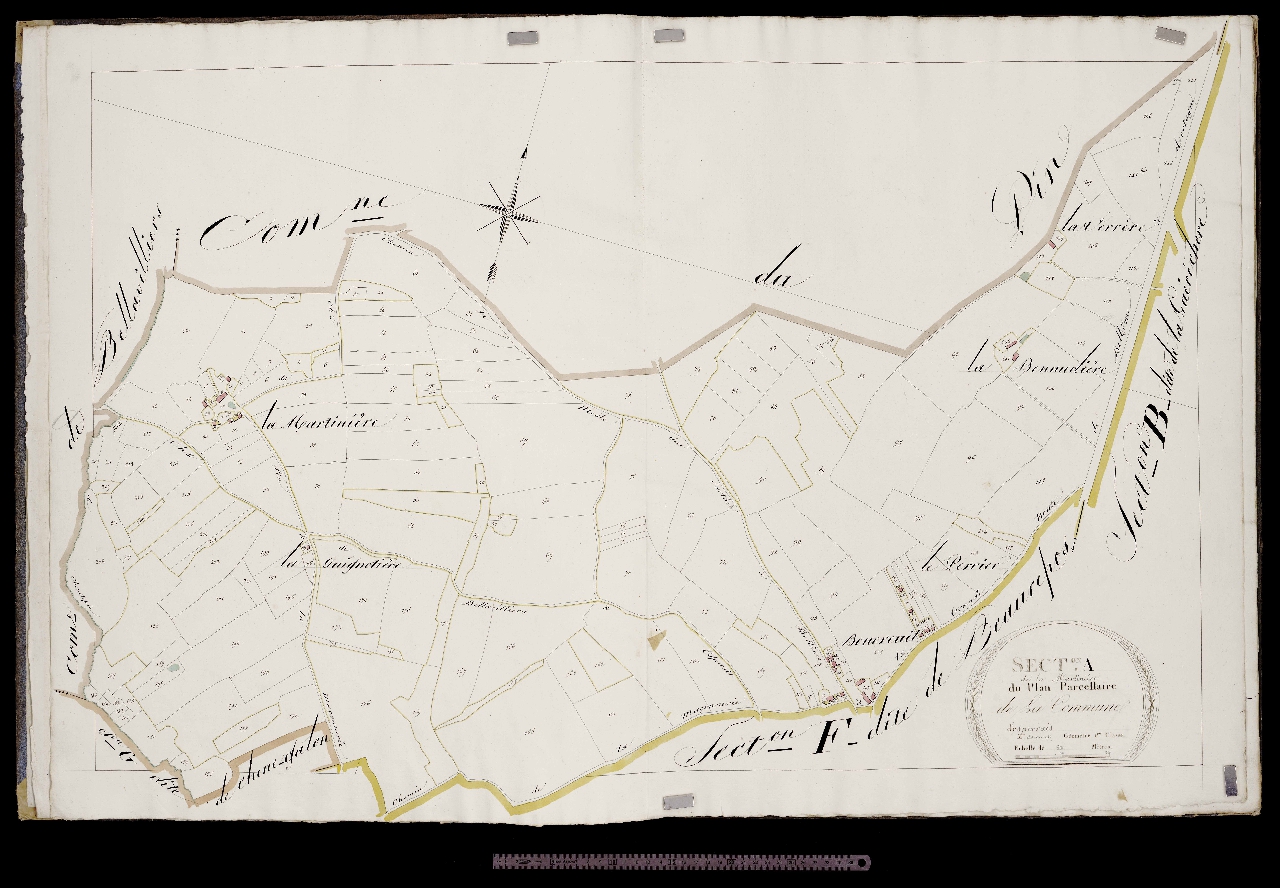 Section A