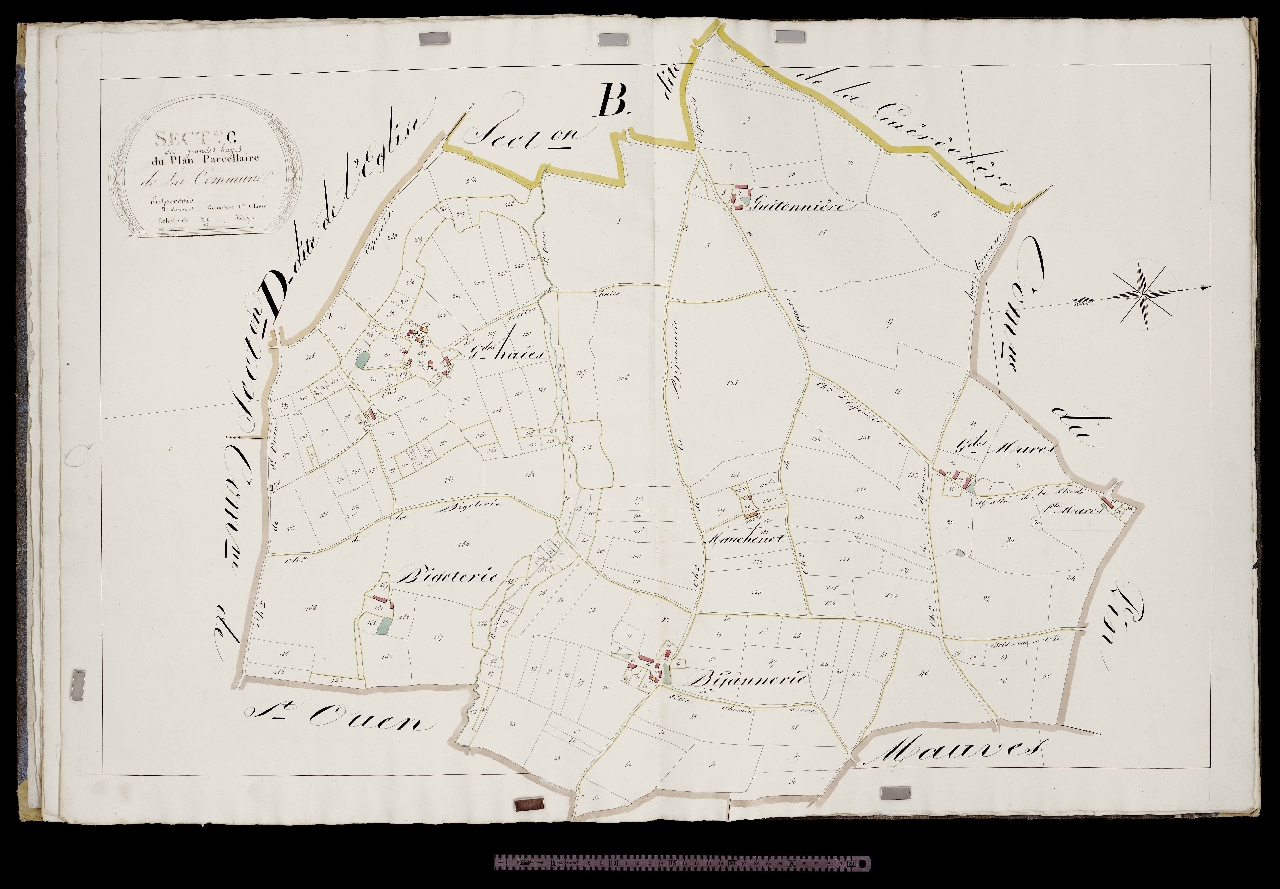 Section C
