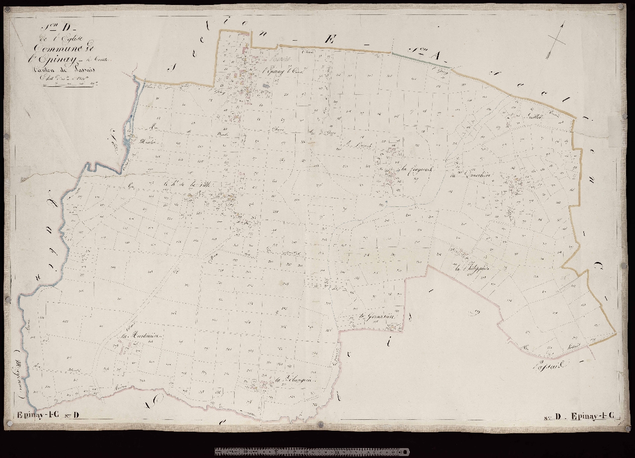Section D