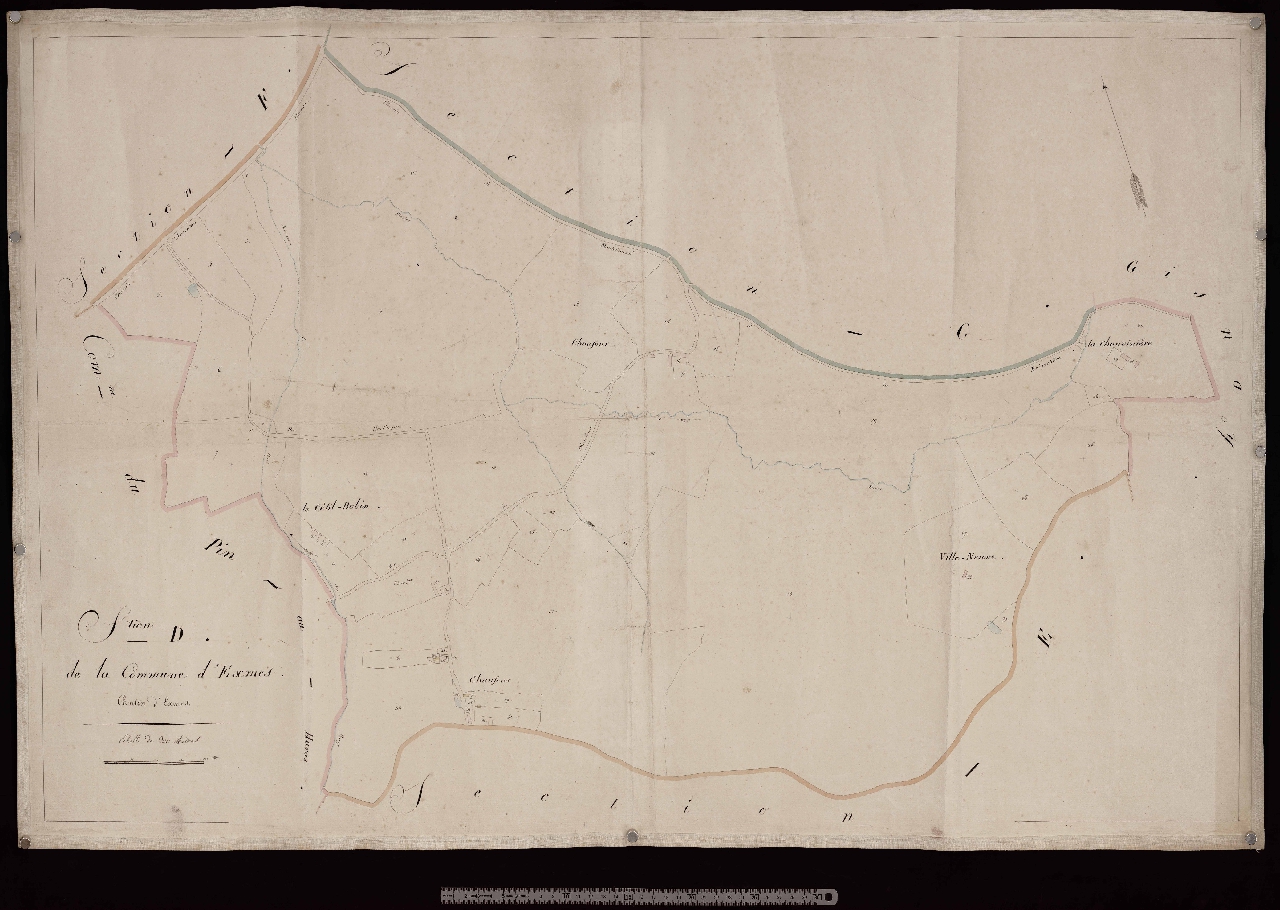 Section D