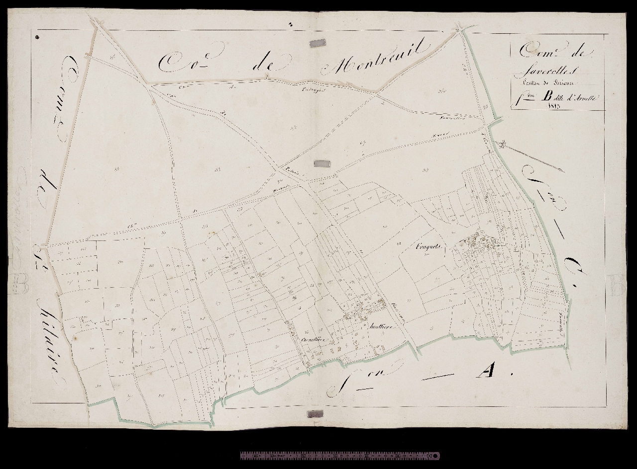 Section B