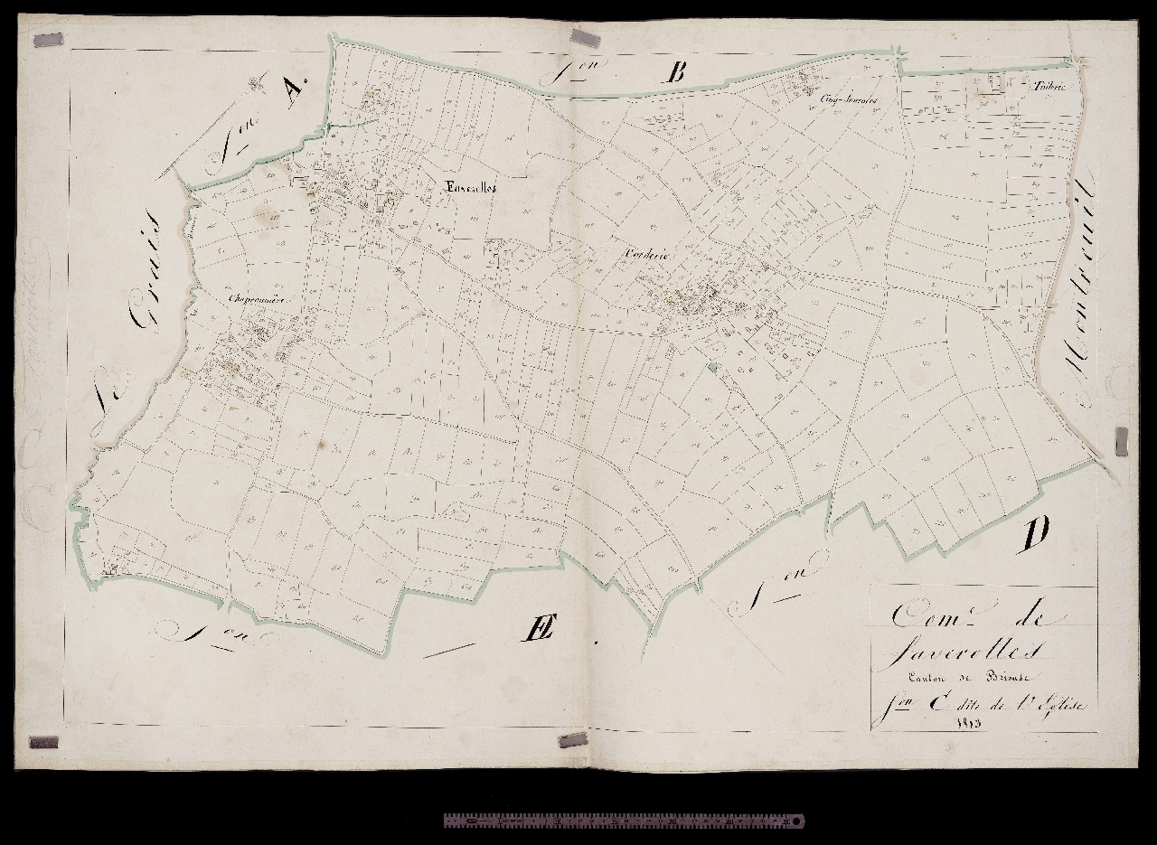 Section C