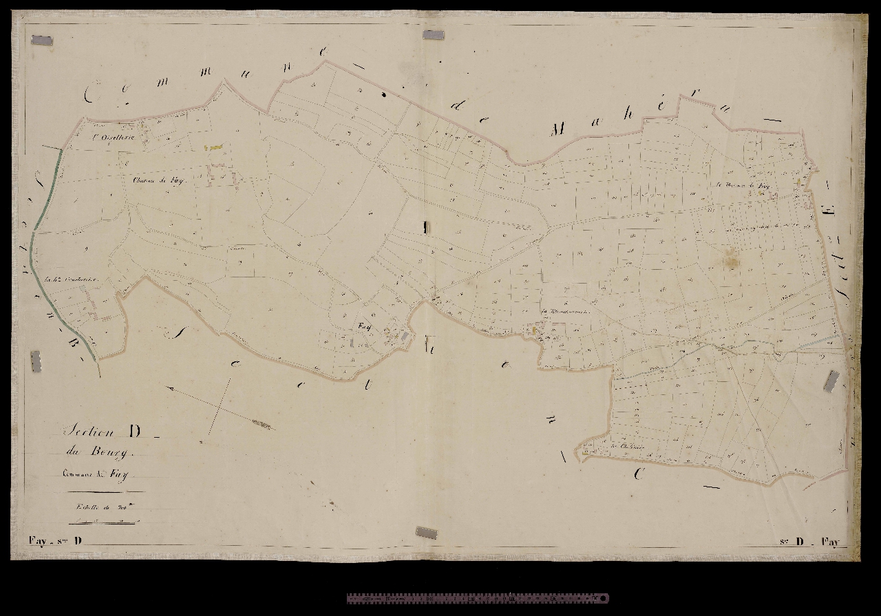 Section D