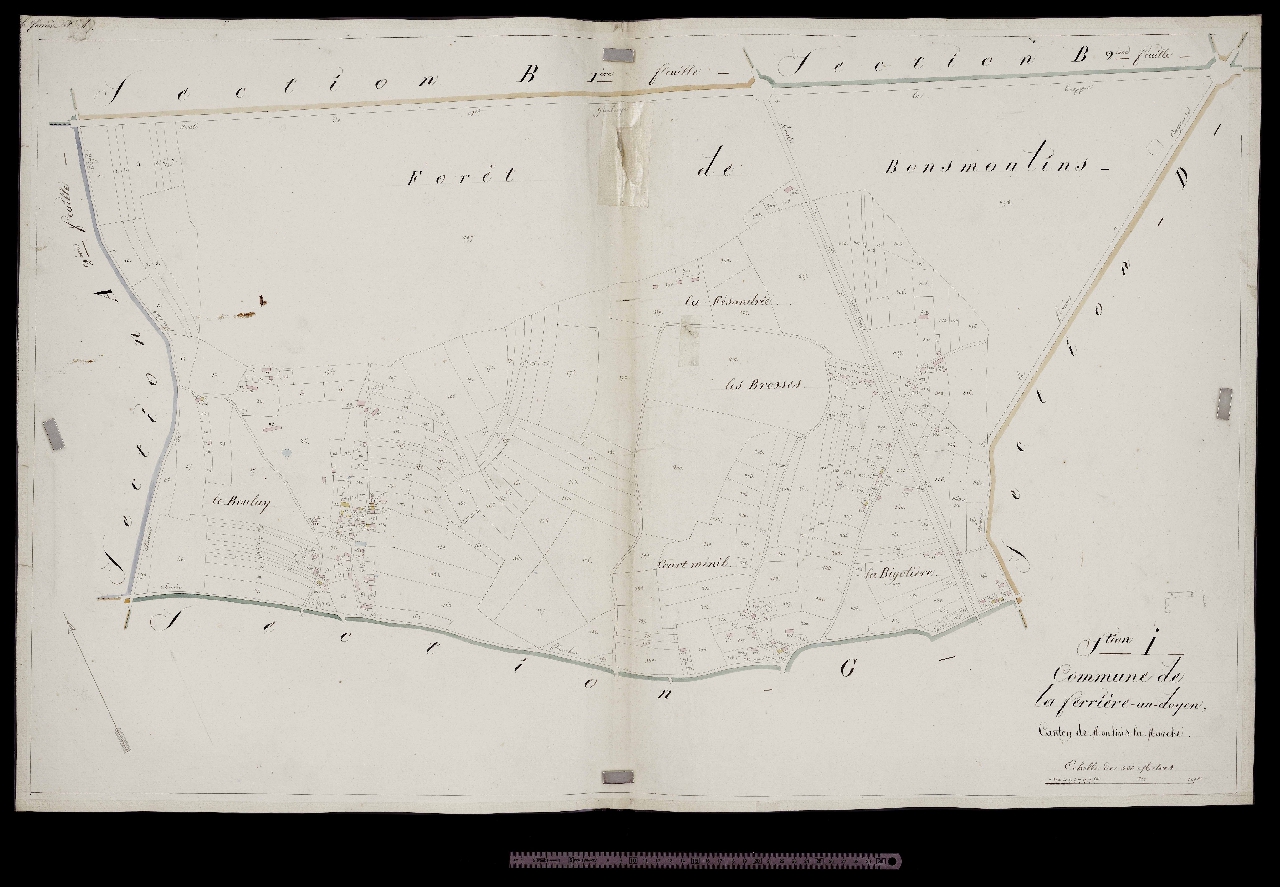 Section I