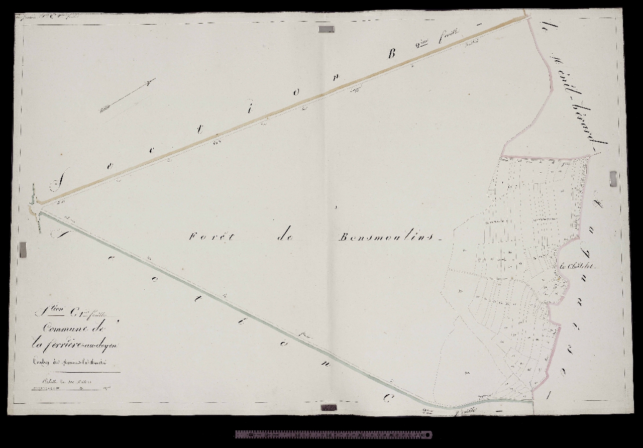 Section C1