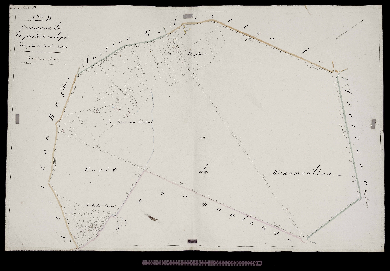 Section D