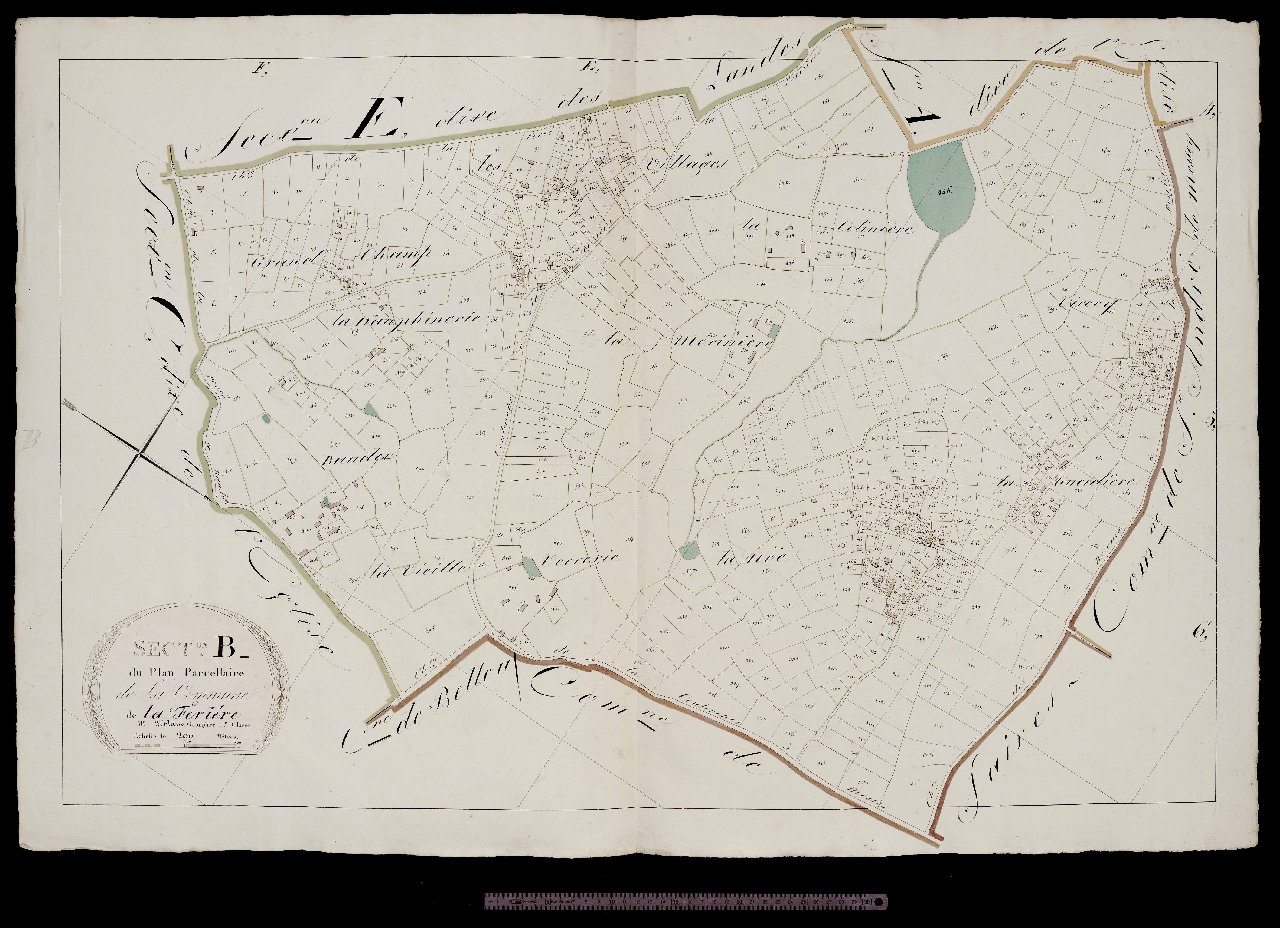 Section B