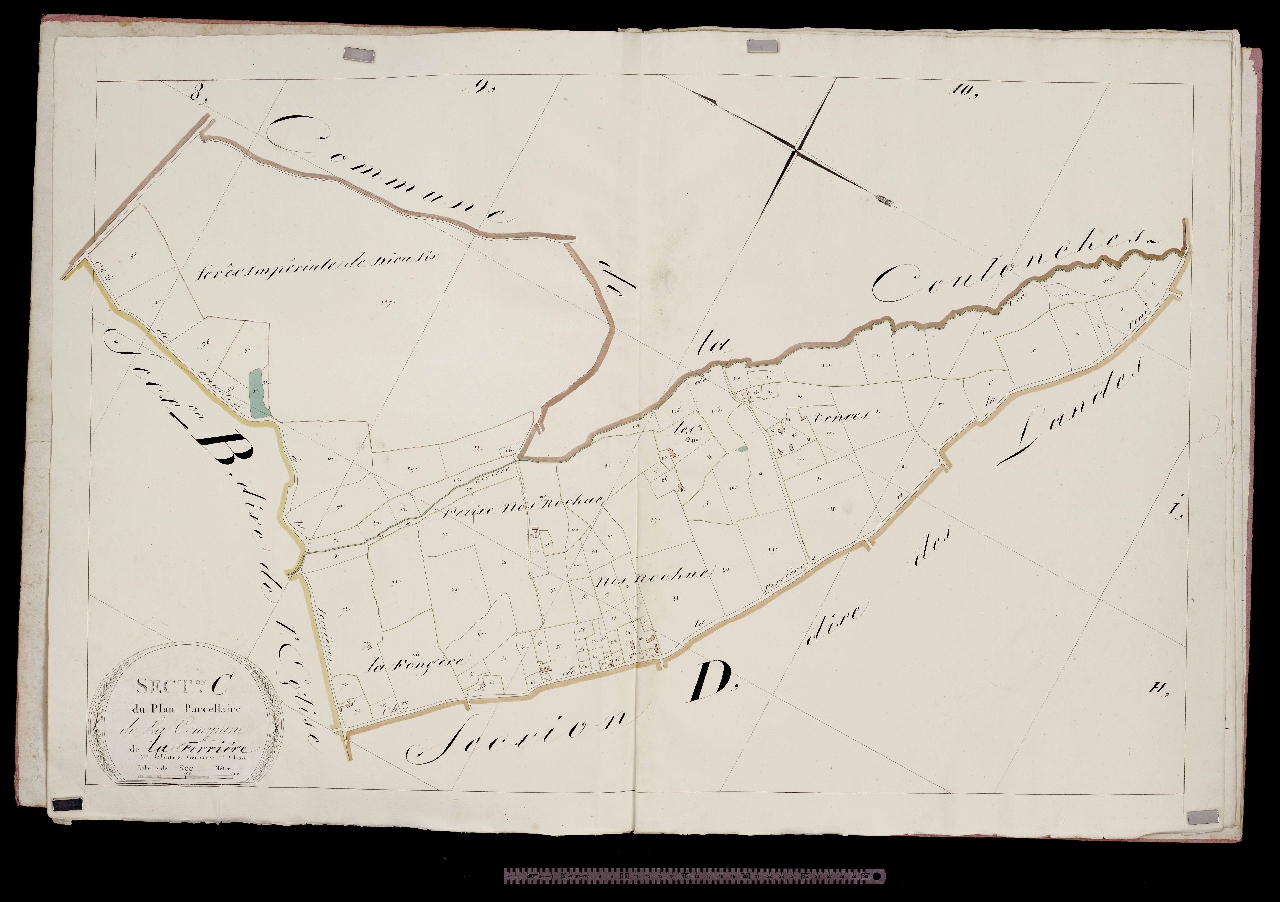 Section C