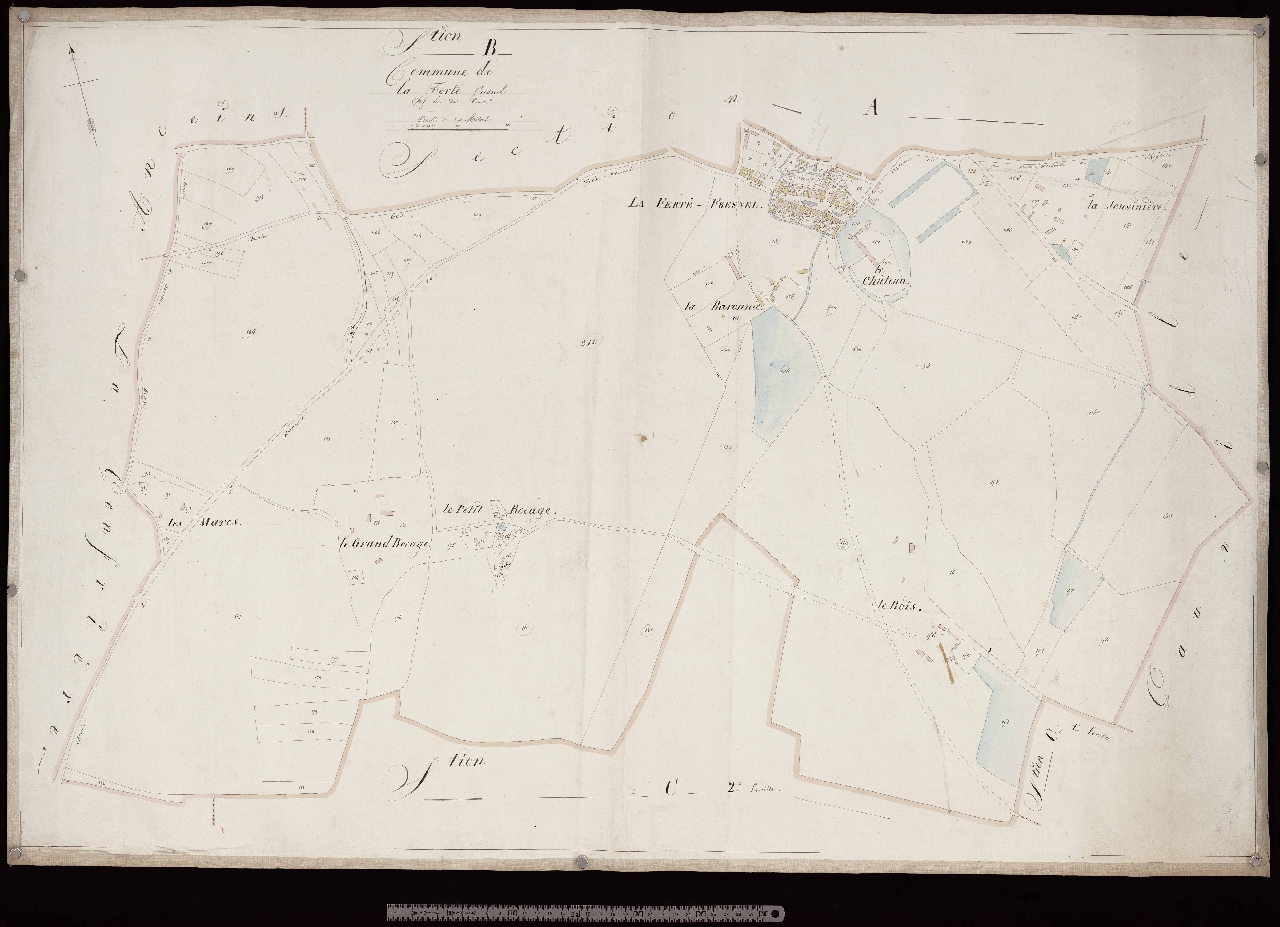 Section B