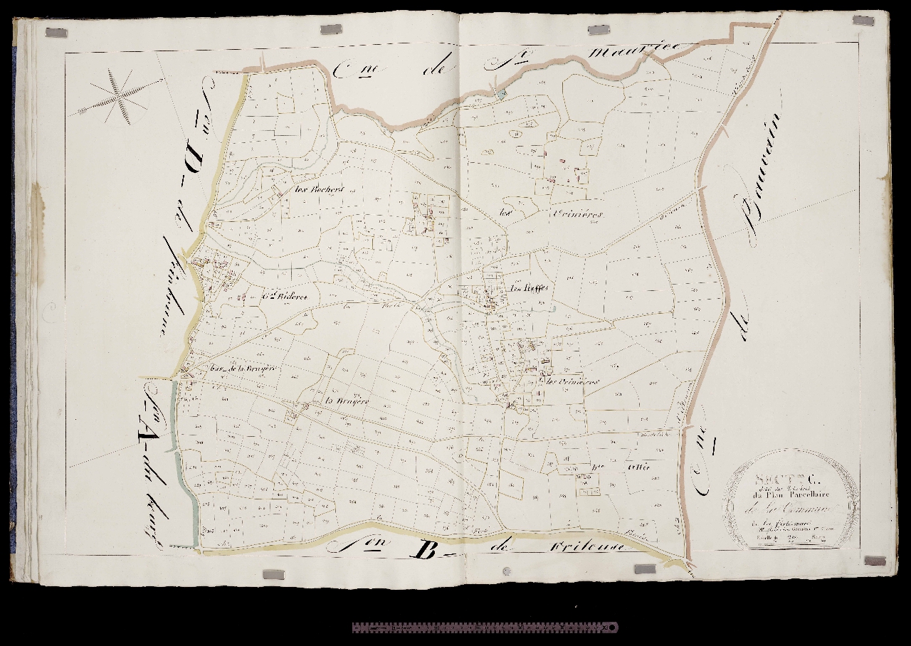 Section C