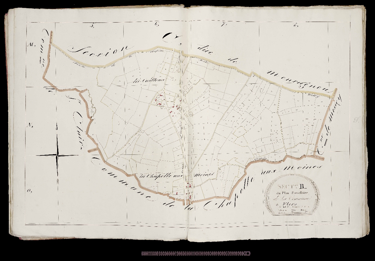 Section B