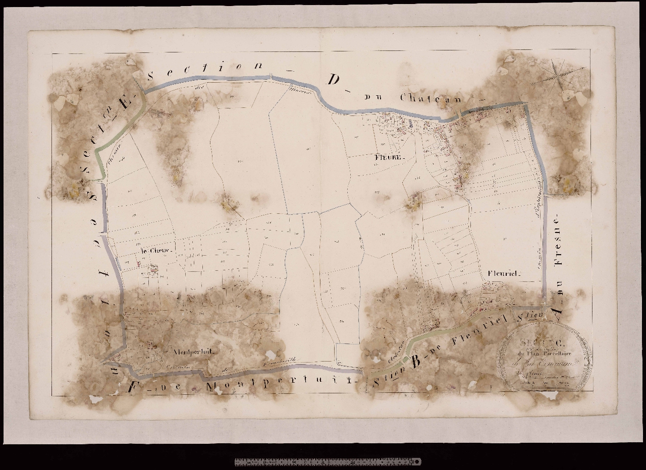 Section C