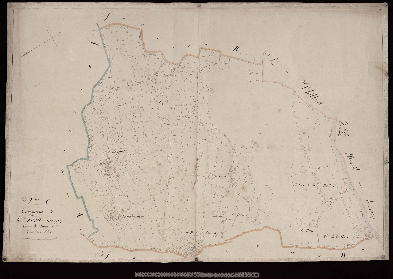 Section C